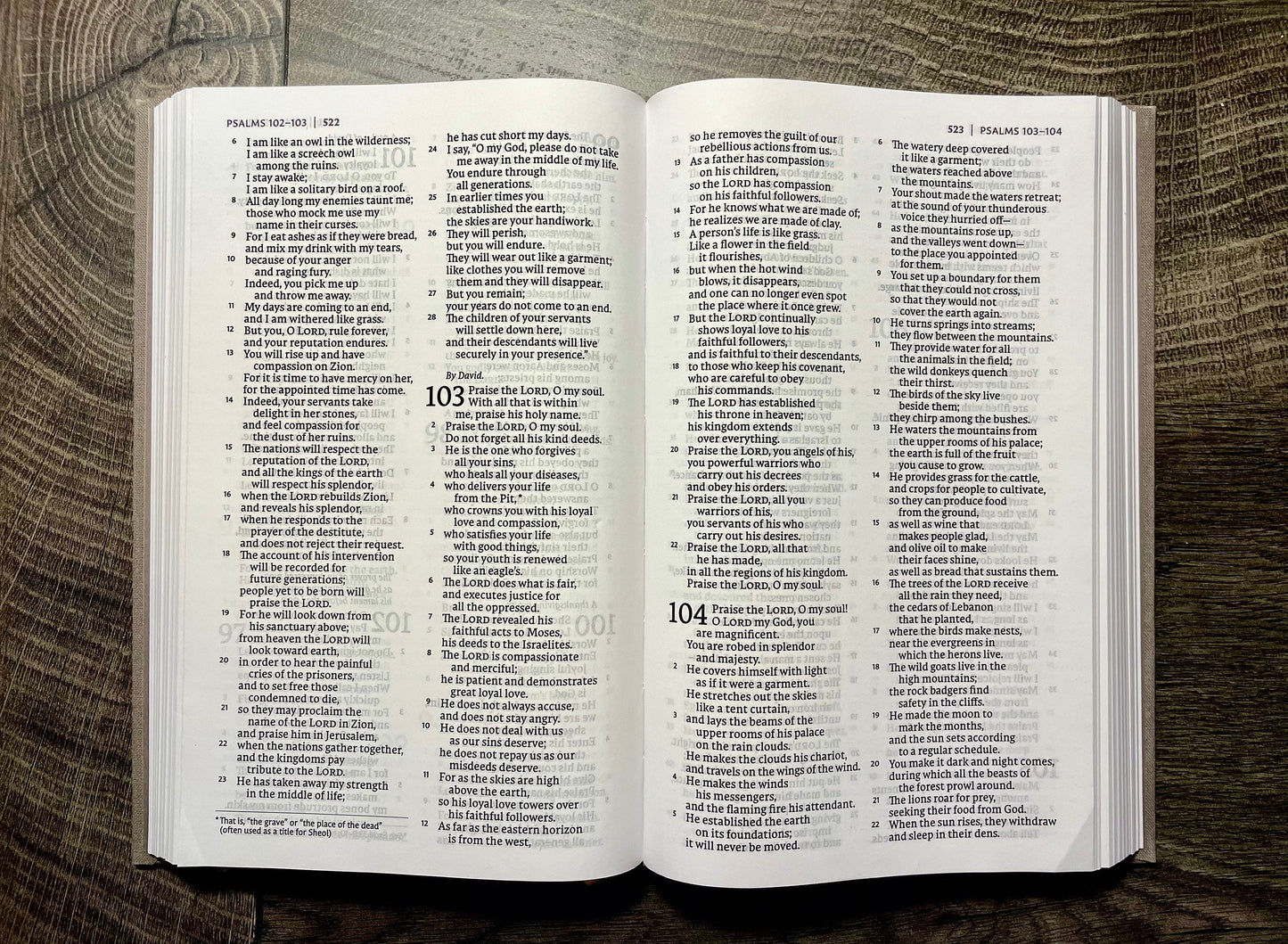 Custom Hand Painted Bibles, Love Shack Fancy, Confirmation Gift, Wedding Guestbook, Mother's Day Gift, She Reads Truth Bibles, Teen Bible