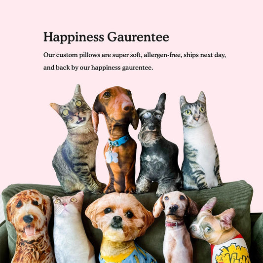 Personalized Pet Pillow, Custom 3D Pet Pillow, Ugly Pet Pillow, Pet Shaped Pillow, Pet Lover Gift, Gift for Cat Lover, Back to School Gift