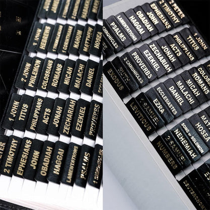 KJV Holy Bible, Giant Print Full-size Faux Leather Red Letter Edition - Thumb Index & Ribbon Marker, King James Version, Dark Brown (KJV Full Size GP Editions)