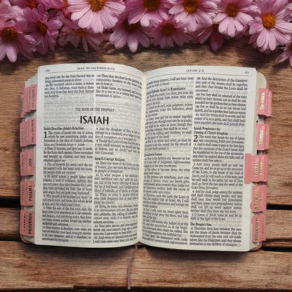 KJV Holy Bible, Giant Print Full-size Faux Leather Red Letter Edition - Thumb Index & Ribbon Marker, King James Version, Pink (KJV Full Size GP Editions)