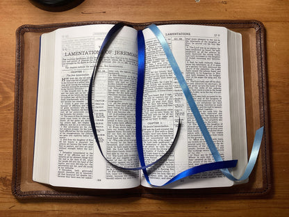 Brown Nappa sheepskin leather ESV Personal Size Extra Large Print Bible with light tan perimeter stitching and three ribbons