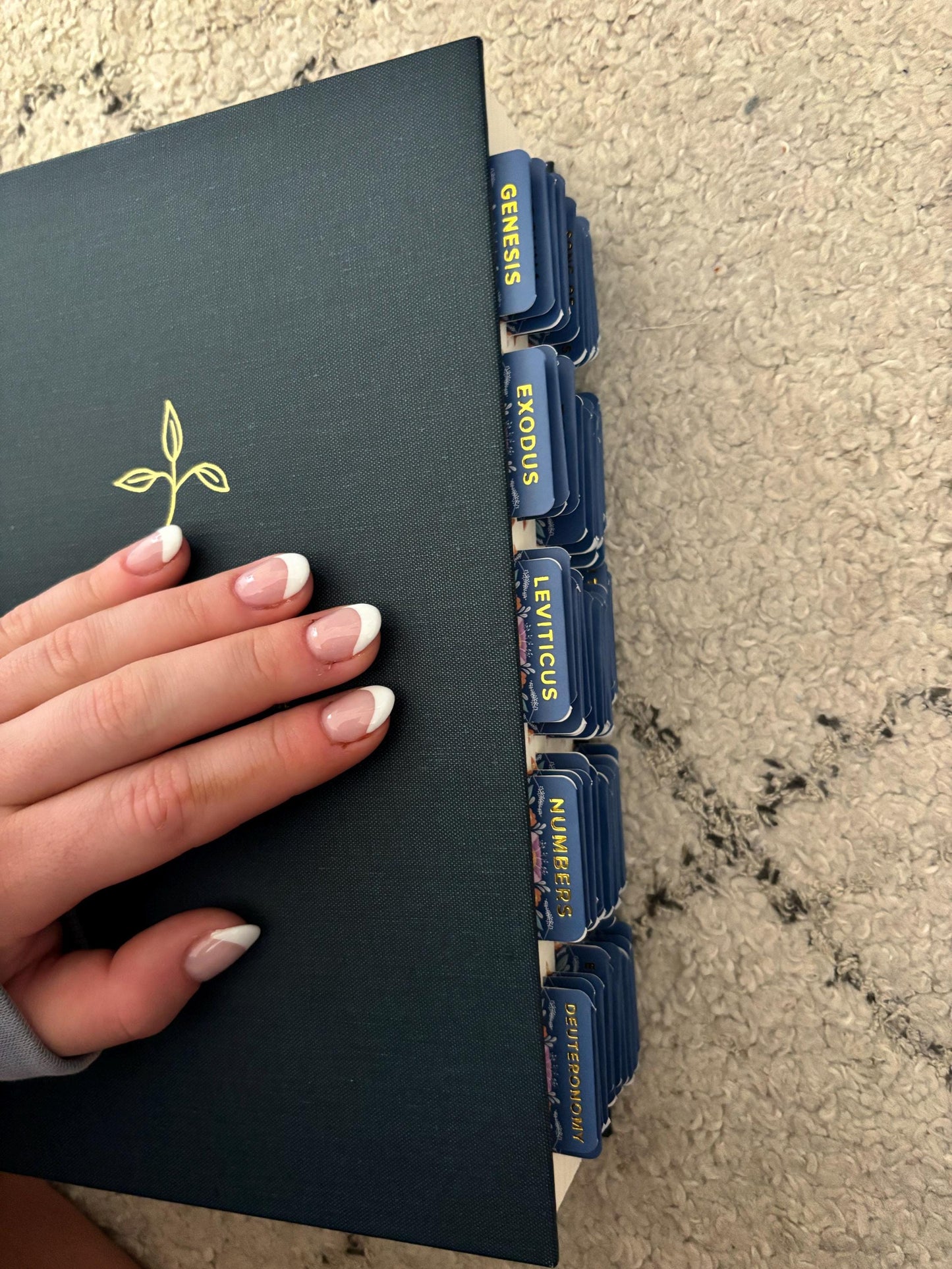 Mary's Garden Catholic Bible Tabs