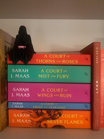 ACOTAR Suriel Bookshelf Accessory | Velaris Ghost Fantasy | Suriel Tea Court of Thorns