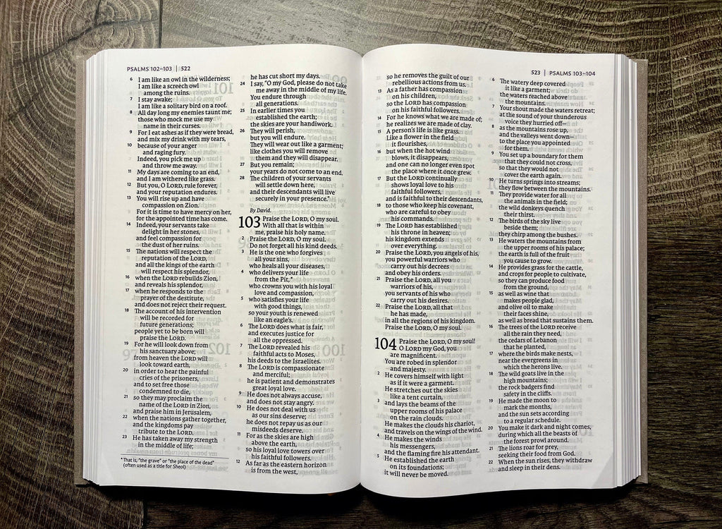 Custom Hand Painted Bibles, Confirmation Gift, Wedding Bible, Family Bible, Mother's Day Gift, She Reads Truth Bibles, Teen Bible