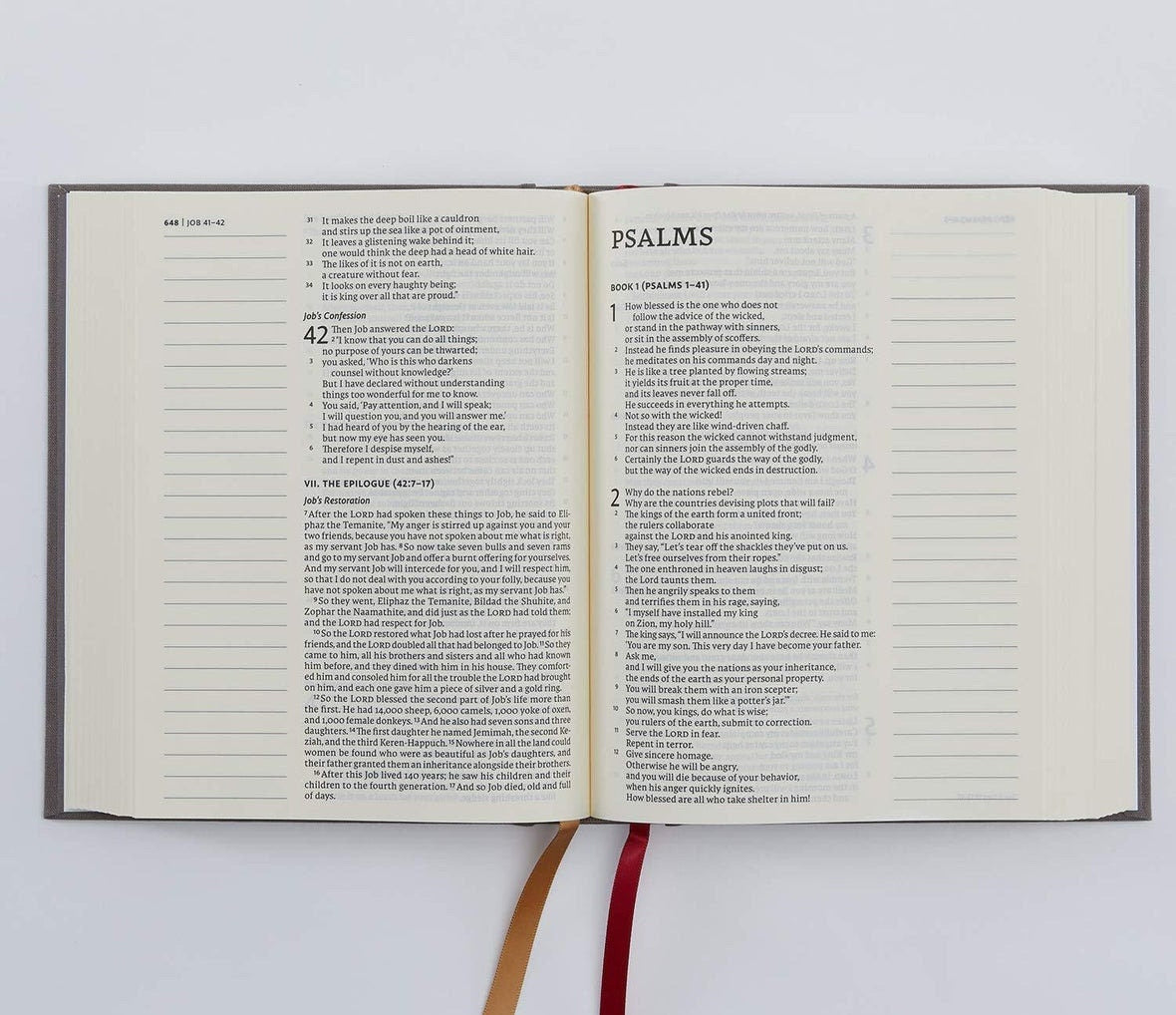 Custom Hand Painted Bibles, Confirmation Gift, Wedding Bible, Family Bible, Mother's Day Gift, She Reads Truth Bibles, Teen Bible