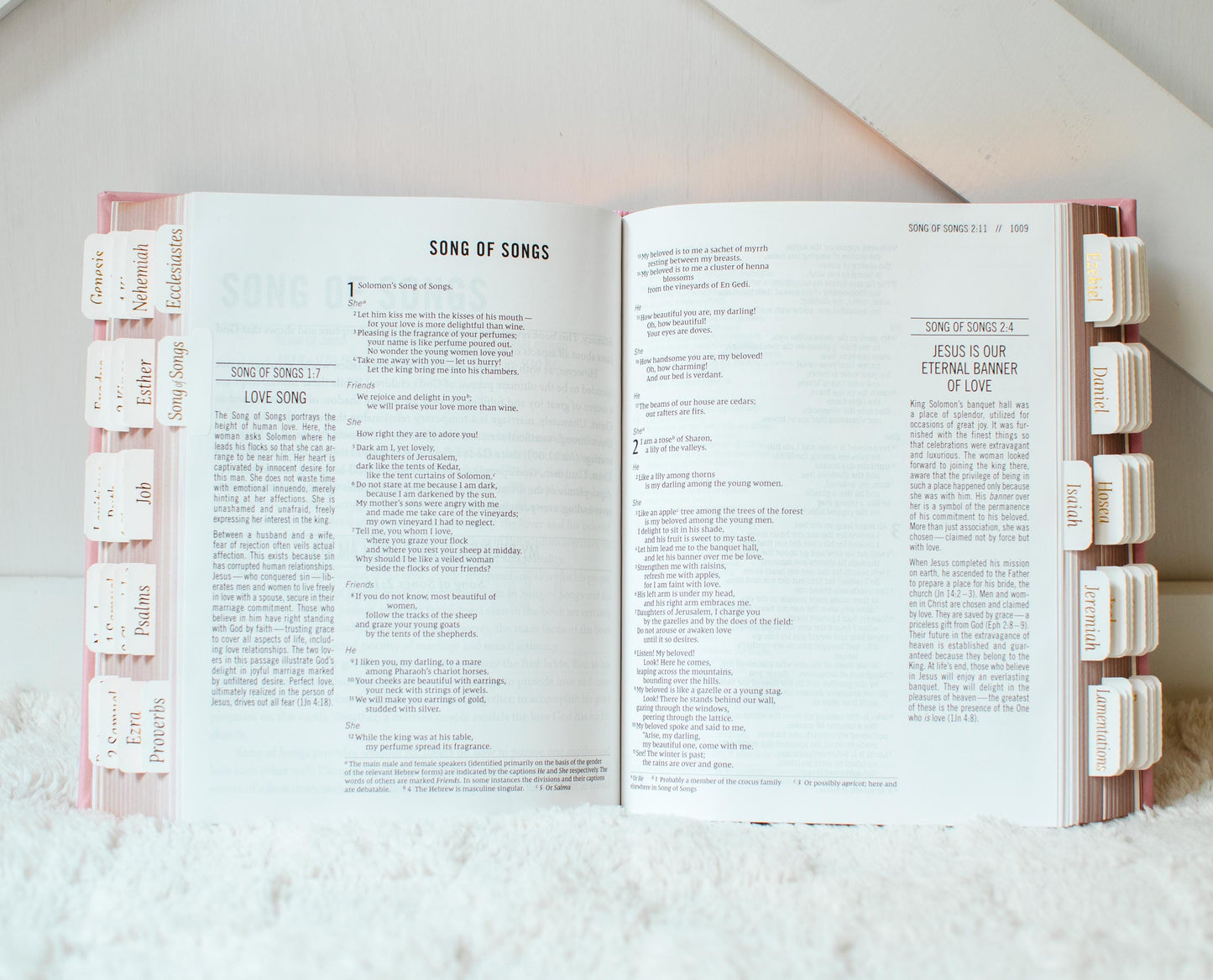 Custom Name Pink Bible NIV Tabbed Journaling Bible Gift For Her Christian Women Bible Study Gift Personalized Tabbed Bible with Tabs Custom