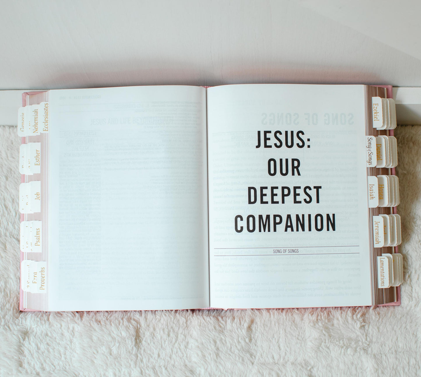 Custom Name Pink Bible NIV Tabbed Journaling Bible Gift For Her Christian Women Bible Study Gift Personalized Tabbed Bible with Tabs Custom